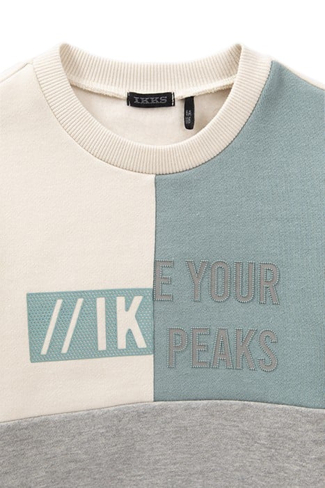 BOYS’ GREY, GREEN, AND ECRU SWEATSHIRT WITH RUBBER IMAGES 5