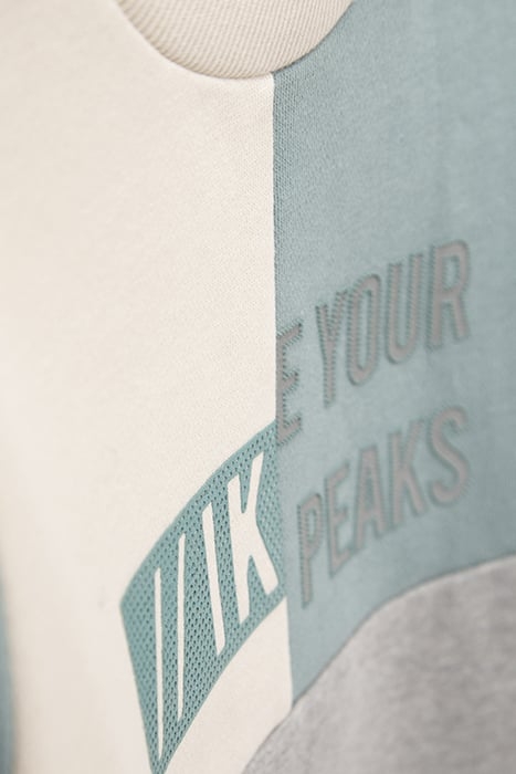 BOYS’ GREY, GREEN, AND ECRU SWEATSHIRT WITH RUBBER IMAGES 8