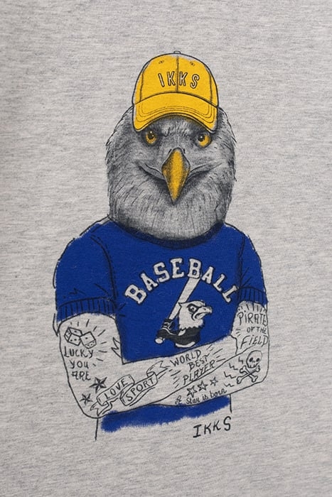 BOYS’ GREY T-SHIRT WITH AMERICAN EAGLE IMAGE GREY 4