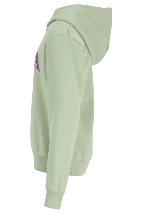 LANGGOENS GRAPHIC CROPPED HOODY SMOKE GREEN 3