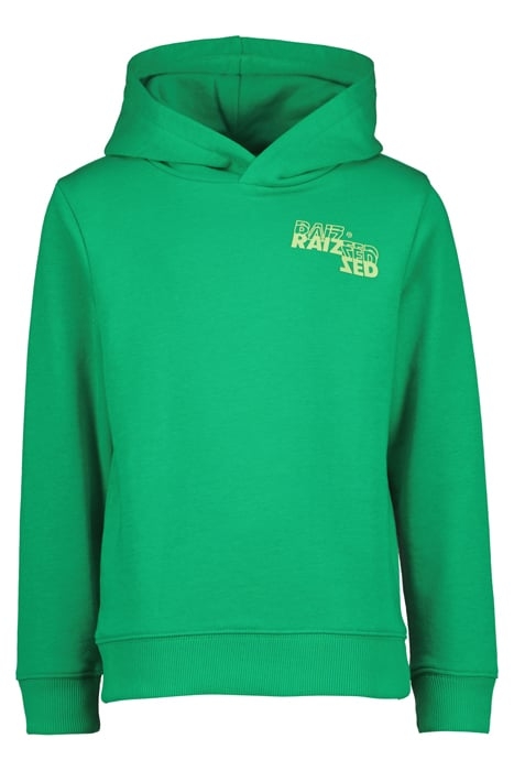 BOYS MYKEL SWEATER GREEN SPORTS 1