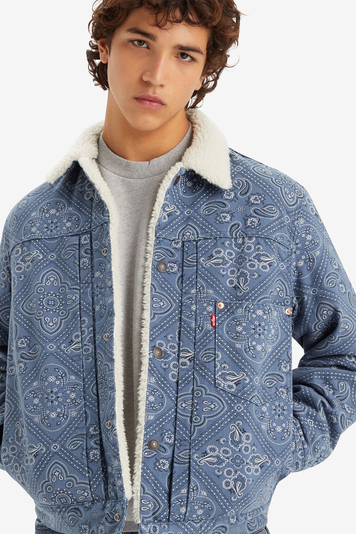 TYPE I SHERPA TRUCKER JACKET 5
