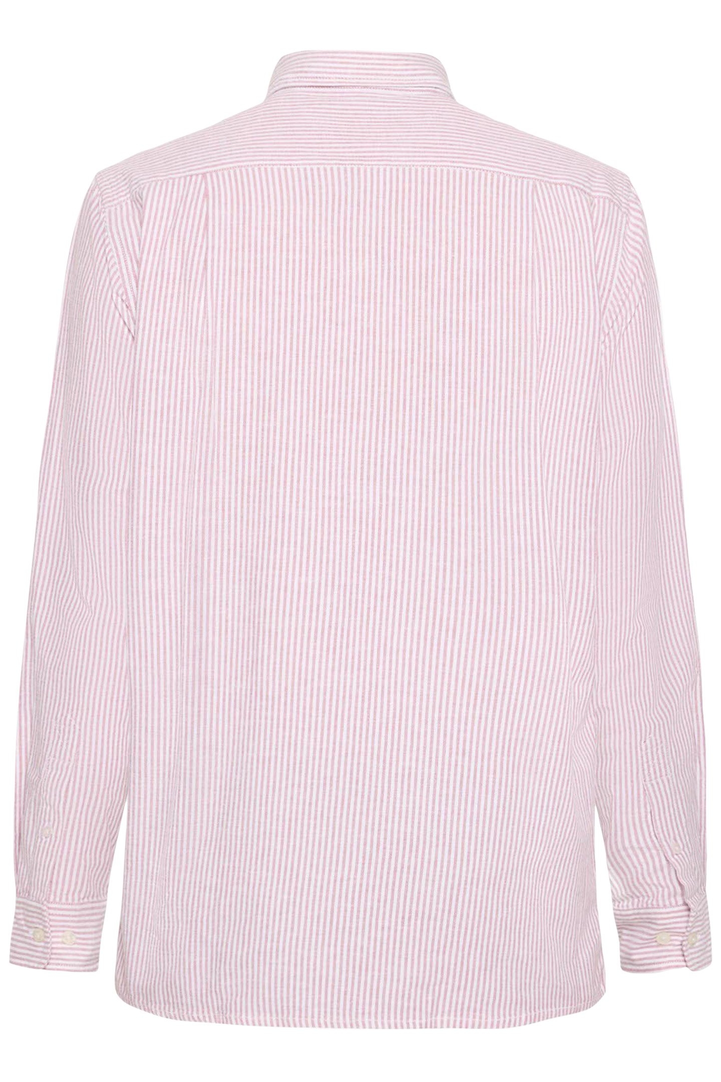 SCOTTSI OXFORD + RED EARTH 5