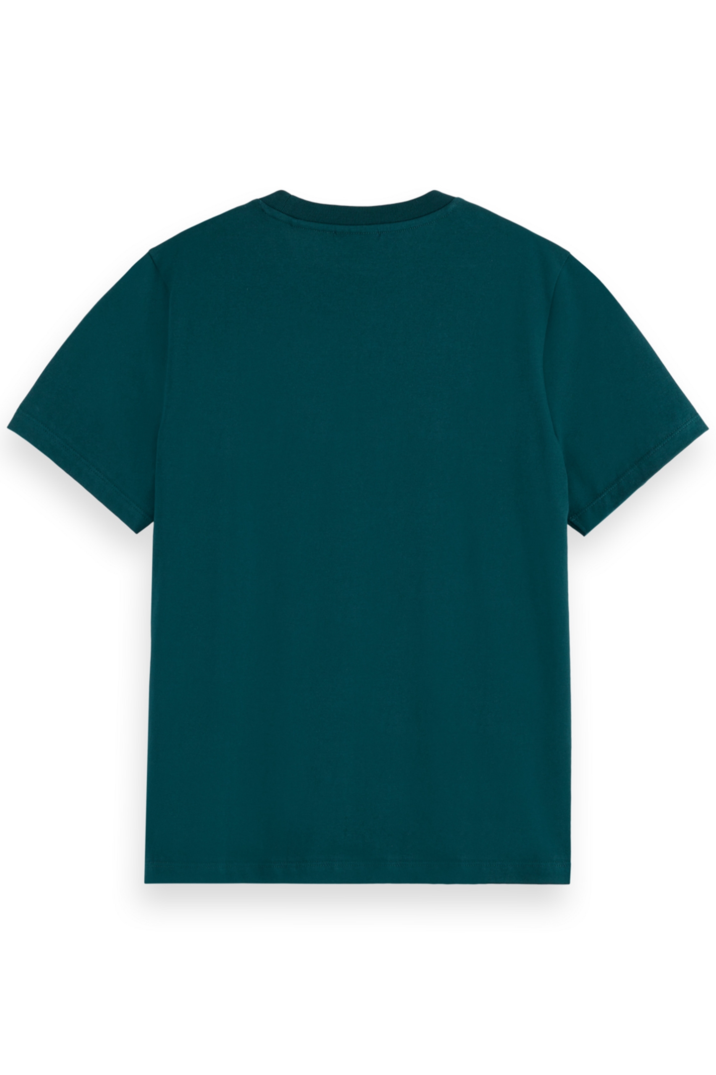 CHEST ARTWORK REGULAR FIT T-SHIRT CYPRESS GREEN 5