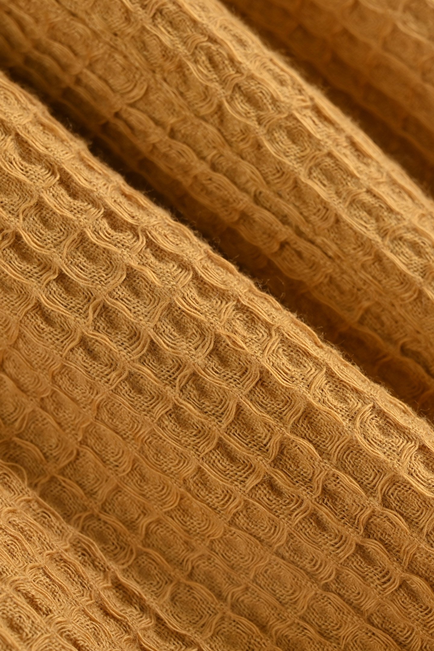 PANTS MANUEL CURRY 5