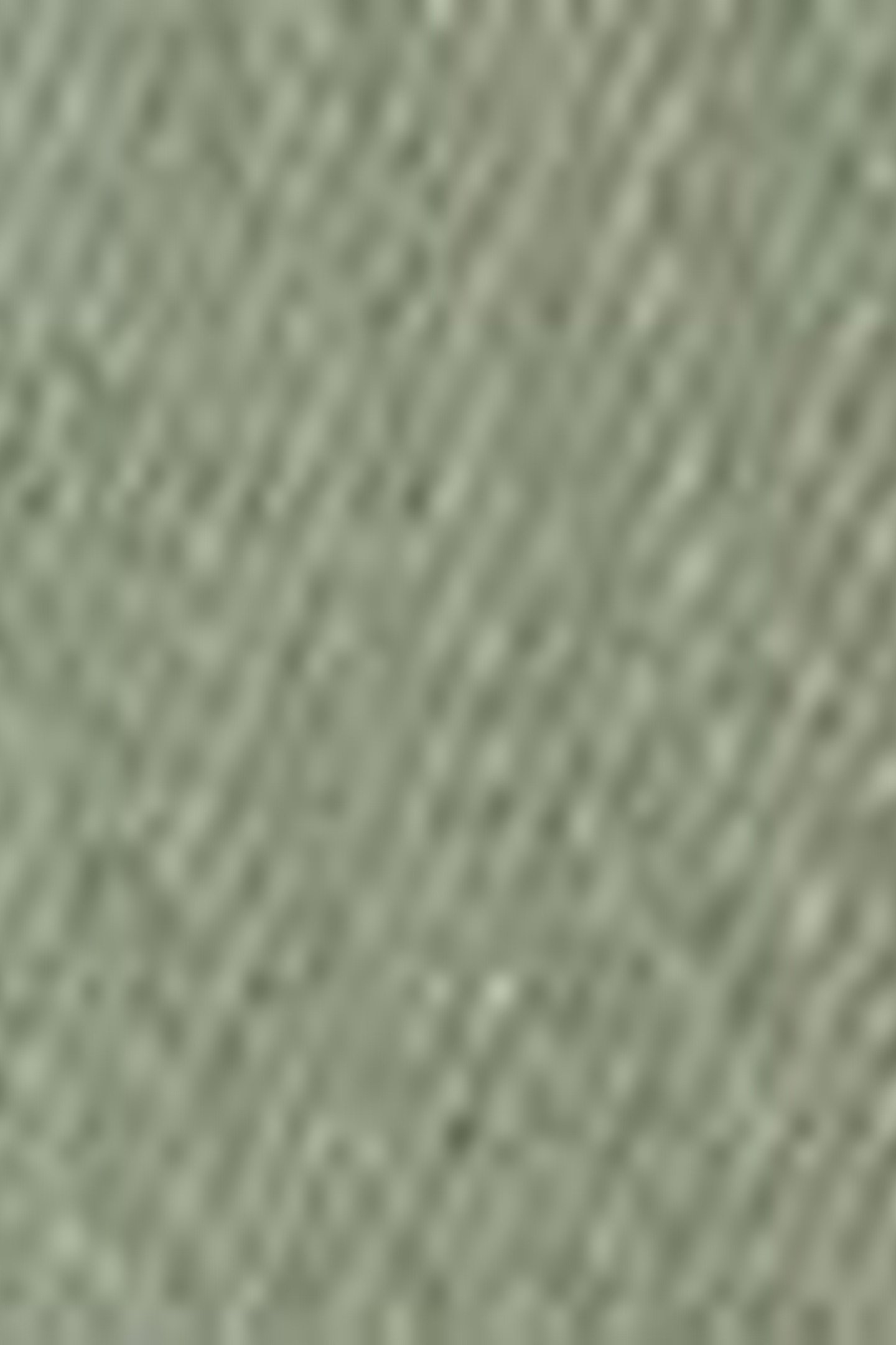 501® ORIGINAL JEANS GREEN 8